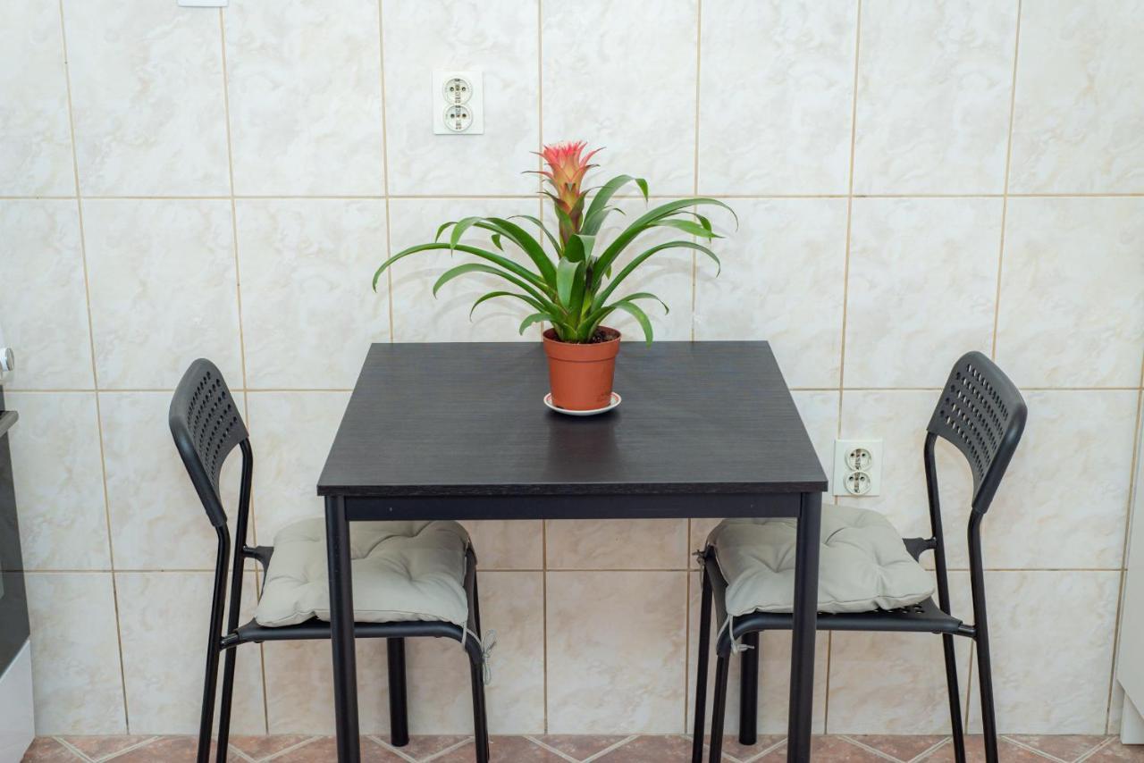 Studio Apartment Silva 科托尔 外观 照片